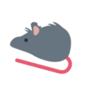 rat facts avatar