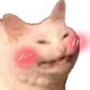 cats.exe avatar