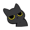 dusty avatar