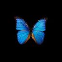 Dream Music 🦋 avatar