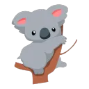 Koala avatar