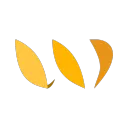 Wheat avatar