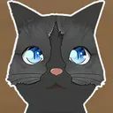 Medhat avatar