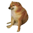 Doggo avatar