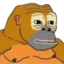 Monke avatar