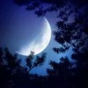 DarkNight avatar