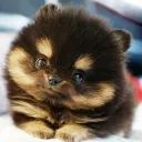 Wholesome Bot avatar