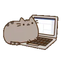 Catalogger avatar