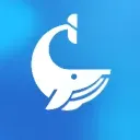 Aesthetic Whale avatar