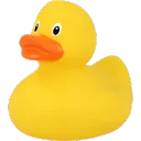 Duckers avatar