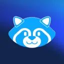 Raccoon avatar
