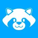 Raccoon avatar