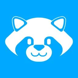 Raccoon avatar