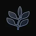 PaulCLI avatar