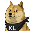 WTF DOGE avatar