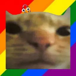 Cat Bot avatar