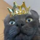 Meevin Bot avatar