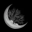 WikiSubmission avatar